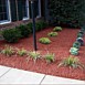 Flowerbed & Shrub Maintenance